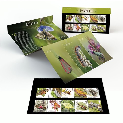 Moths presentation pack from - presentation,